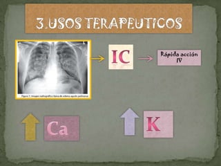 Rápida acción
     IV
 