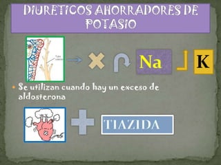  Se utilizan cuando hay un exceso de
 aldosterona
 