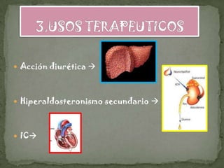  Acción diurética 




 Hiperaldosteronismo secundario 




 IC
 