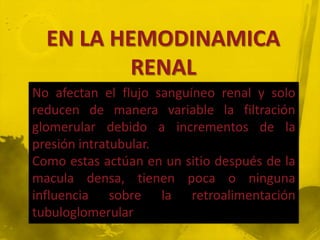 EN LA HEMODINAMICA
         RENAL
No afectan el flujo sanguíneo renal y solo
reducen de manera variable la filtración
glomerular debido a incrementos de la
presión intratubular.
Como estas actúan en un sitio después de la
macula densa, tienen poca o ninguna
influencia sobre la retroalimentación
tubuloglomerular
 
