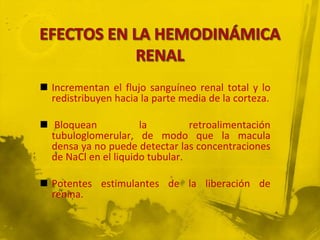  Incrementan el flujo sanguíneo renal total y lo
  redistribuyen hacia la parte media de la corteza.

 Bloquean            la         retroalimentación
  tubuloglomerular, de modo que la macula
  densa ya no puede detectar las concentraciones
  de NaCl en el liquido tubular.

 Potentes estimulantes de la liberación de
  renina.
 