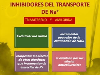 TRIAMTERENO Y AMILORIDA


                             incrementos
Exclusivos uso clínico      pequeños de la
                         eliminación de NaCl



compensar los efectos
  de otros diuréticos    se emplean por sus
                               efectos
 que incrementan la        anticaliureticos
   excreción de K+
 
