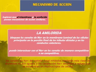 MECANISMO DE ACCION


Sugieren que el triamtireno y la amilorida
 poseen mecanismos de accion similares.




                               LA AMILORIDA
       bloquea los canales de Na+ en la membrana luminal de las células
          principales en la porción final de los túbulos distales y en los
                              conductos colectores.

      puede interactuar con el Na+ en los canales de manera competitiva
                               o no competitiva.

  los canales de Na+ del epitelio renal inhibidos mediante esta clase de
  diureticos no son iguales a los canales del Na+ sensibles a voltaje que
                 se encuentran en muchos tipos de celulas
                                                                         61
 