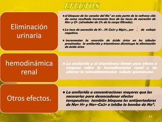 • el bloqueo de los canales del Na" en esta parte de la nefrona sólo
                  da como resultado incremento leve de las tasas de excreción de
                  Na+ y CI- (alrededor de 2% de la carga filtrada).
 Eliminación     • La tasa de excreción de K+ . H Ca2+ y Mg2+., por      de voltaje
                  negativo.
   urinaria      • incrementar la resorción de ácido úrico en los túbulos
                  proximales; la amilorida y triamtireno disminuye la eliminación
                  de ácido úrico




hemodinámica     • La amilorida y el triamtireno tienen poco efecto o
                   ninguno sobre la hemodinamica renal y no
   renal           alteran la retroalimentacion tubulo-glomerular.



                 • La amilorida a concentraciones mayores que las
                   necesarias para desencadenar efectos
Otros efectos.     terapeuticos; también bloquea los antíportadores
                   de Na+ H+ y Na+-Ca2+ e inhibe la bomba de Na“.

                                                                                62
 