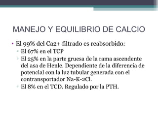 MANEJO Y EQUILIBRIO DE CALCIO
• El 99% del Ca2+ filtrado es reabsorbido:
 ▫ El 67% en el TCP
 ▫ El 25% en la parte gruesa de la rama ascendente
   del asa de Henle. Dependiente de la diferencia de
   potencial con la luz tubular generada con el
   contransportador Na-K-2Cl.
 ▫ El 8% en el TCD. Regulado por la PTH.
 