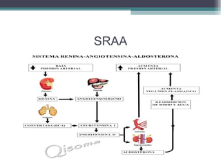 SRAA
 