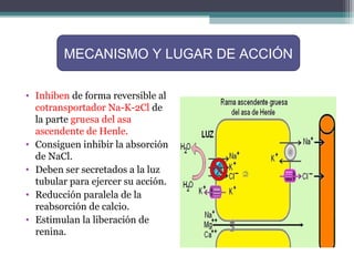 MECANISMO Y LUGAR DE ACCIÓN

• Inhiben de forma reversible al
  cotransportador Na-K-2Cl de
  la parte gruesa del asa
  ascendente de Henle.
• Consiguen inhibir la absorción
  de NaCl.
• Deben ser secretados a la luz
  tubular para ejercer su acción.
• Reducción paralela de la
  reabsorción de calcio.
• Estimulan la liberación de
  renina.
 