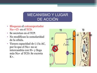 MECANISMO Y LUGAR
                    DE ACCIÓN
• Bloquean el cotransportador
  Na+-Cl- en el TCD.
• Se secretan en el TCP.
• No modifican la osmolaridad
  de la célula.
• Tienen capacidad de (-) la AC,
  por lo que el Na+ no se
  intercambia con H+ y llega
  más Na+ al TCD: Se excreta
  K+.
 