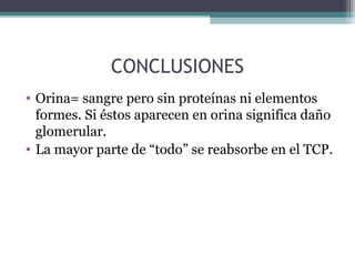 CONCLUSIONES
• Orina= sangre pero sin proteínas ni elementos
  formes. Si éstos aparecen en orina significa daño
  glomerular.
• La mayor parte de “todo” se reabsorbe en el TCP.
 