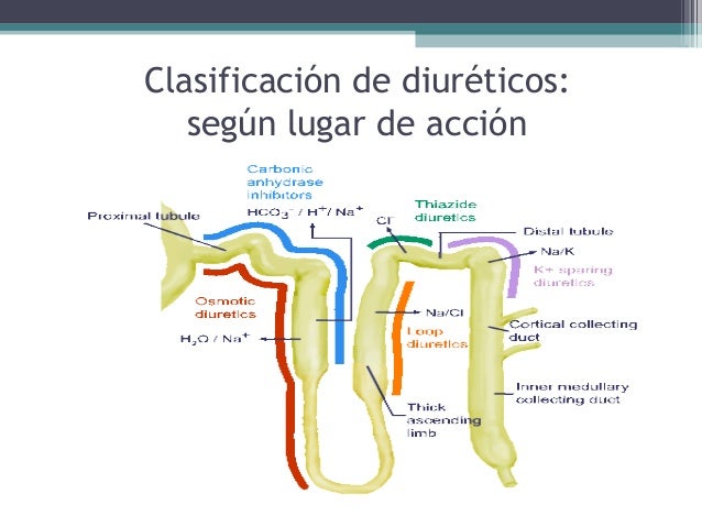 Diureticos