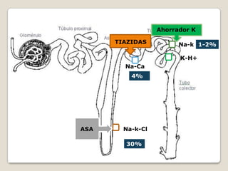 Na-k-Cl
Na-Ca
Na-k
K-H+
30%
4%
1-2%TIAZIDAS
Ahorrador K
ASA
 