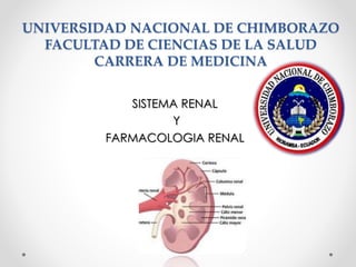 UNIVERSIDAD NACIONAL DE CHIMBORAZO
FACULTAD DE CIENCIAS DE LA SALUD
CARRERA DE MEDICINA
SISTEMA RENAL
Y
FARMACOLOGIA RENAL
 