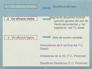 22
o Ahorradores de K (al final del T.C.
Distal)
o Inhibidores de la AC (T.C. Proximal)
o Diuréticos Osmóticos (T.C. Proximal)
1. De máxima eficacia Diuréticos del asa.
2. De eficacia media
3. De eficacia ligera
Segmento diluyente cortical
(porción gruesa del asa de
Henle ascendente) y 1er
segmento del TC distal
Sitio de acción variable:
 
