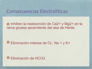 Inhiben la reabsorción de Ca2+ y Mg2+ en la
rama gruesa ascendente del asa de Henle.
Eliminación intensa de Cl-, Na + y K+
Eliminación de HCO3
 