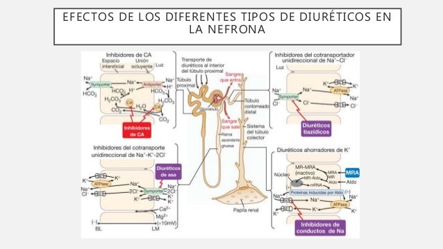 diureticos diureticos