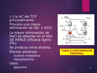 42
(-) la AC del TCP
principalmente.
Provoca una mayor
3
eliminación de Na+ y HCO3
-
La mayor eliminación de
NaCl se absor...