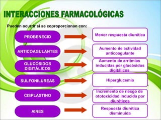 Pueden ocurrir si se coproporcionan con:
PROBENECID
ANTICOAGULANTES
GLUCÓSIDOS
DIGITÁLICOS
SULFONILUREAS
CISPLASTINO
AINES
Menor respuesta diurética
Aumento de actividad
anticoagulante
Aumento de arritmias
inducidas por glucósidos
digitálicos
Hiperglucemia
Incremento de riesgo de
ototoxicidad inducida por
diuréticos
Respuesta diurética
disminuida
 