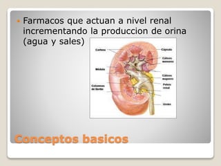  Farmacos que actuan a nivel renal 
incrementando la produccion de orina 
(agua y sales) 
Conceptos basicos 
 