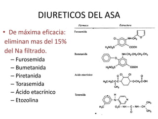 Es permeable al agua por lo que la orina que llega isotónica se hace hipertónica al descender por la médula.