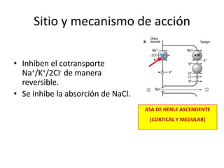 Carece de sistemas de transporte activo.