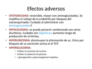Absorbe Na+ y Cl- por un cotransportador Na-K-2Cl.