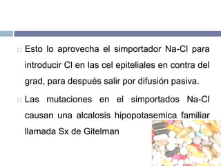 Efectos AdversosOTOTOXICIDAD: reversible, mayor con aminoglucósidos. Se modifica el voltaje de la endolinfa por bloqueo del cotransportador. HIPOCALIEMIA: se puede prevenir combinando con otros diuréticos.HIPERURICEMIA: disminuyen la eliminación de ac. Úrico por bloqueo de su secreción activa el TCP.HIPERGLUCEMIA: Inhiben la secreción de insulinaInhiben la captación de glucosa.+ glucogenolisis y gluconeogenesis hepática.