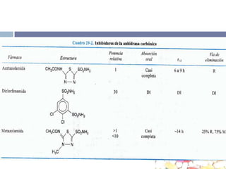 Efectos HemodinamicosFSR-flujo sanguíneo renal			TFG- tasa de filtración glomerularFF- Fracción de Filtración 			RTG- Retroalimentación tubuloglomerular