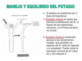 MANEJO Y EQUILIBRIO DEL POTASIO 