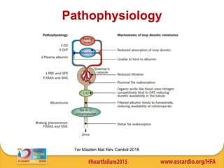 Pathophysiology
Ter Maaten Nat Rev Cardiol 2015
 