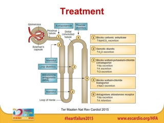 Treatment
Ter Maaten Nat Rev Cardiol 2015
 
