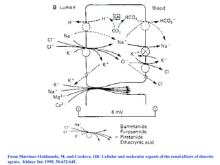 Diuretics | PPT