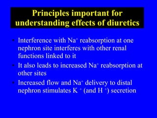 Principles important for understanding effects of diuretics Interference with Na +  reabsorption at one nephron site interferes with other renal functions linked to it It also leads to increased Na +  reabsorption at other sites Increased flow and Na +  delivery to distal nephron stimulates K  +  (and H  + ) secretion 