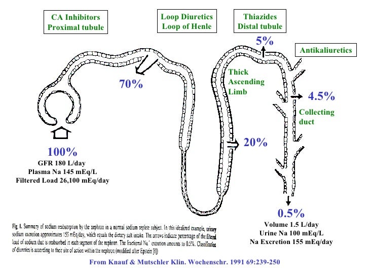 Indapamide Drug Profile