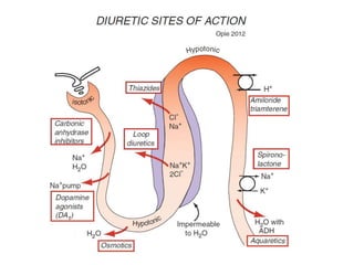 Diuretics : Dr Renuka Joshi MD,DNB, (FNB ) | PPTX