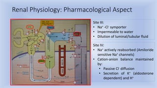 Renal Physiology: Pharmacological Aspect
Site III:
• Na+ -Cl- symporter
• Impermeable to water
• Dilution of luminal/tubular fluid
Site IV:
• Na+ actively reabsorbed (Amiloride
sensitive Na+ channels)
• Cation-anion balance maintained
by:
• Passive Cl- diffusion
• Secretion of K+ (aldosterone
dependent) and H+
 
