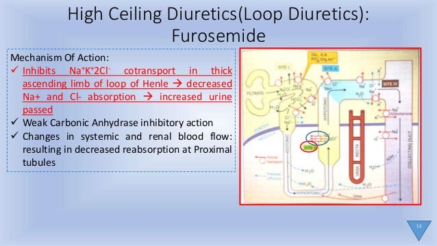 Diuretics