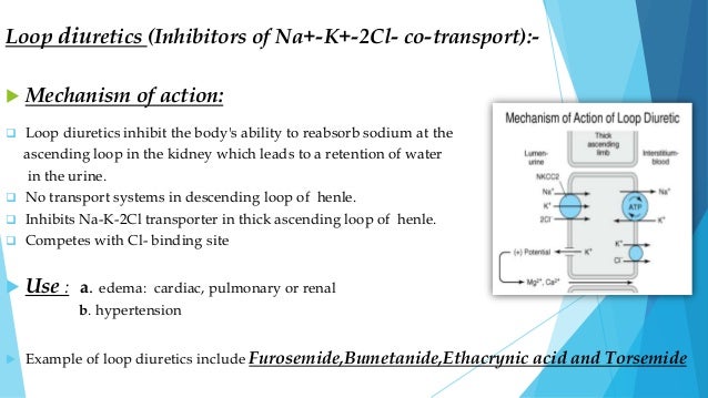 furosemide for hypertension lasix mechanism of action
