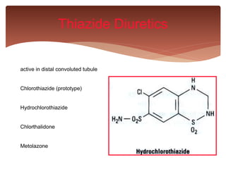 active in distal convoluted tubule
Chlorothiazide (prototype)
Hydrochlorothiazide
Chlorthalidone
Metolazone
Thiazide Diuretics
 