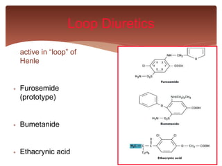 active in “loop” of
Henle
 Furosemide
(prototype)
 Bumetanide
 Ethacrynic acid
Loop Diuretics
 