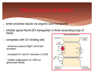  enter proximal tubule via organic acid transporter
 inhibits apical Na-K-2Cl transporter in thick ascending loop of
henle
 competes with Cl- binding site
Mechanism of Action
enhances passive Mg2+ and Ca2+
excretion
increased K+ and H+ excretion in CCD
inhibits reabsorption of ~25% of
glomerular filtrate
 