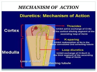 MECHANISM OF ACTION
 