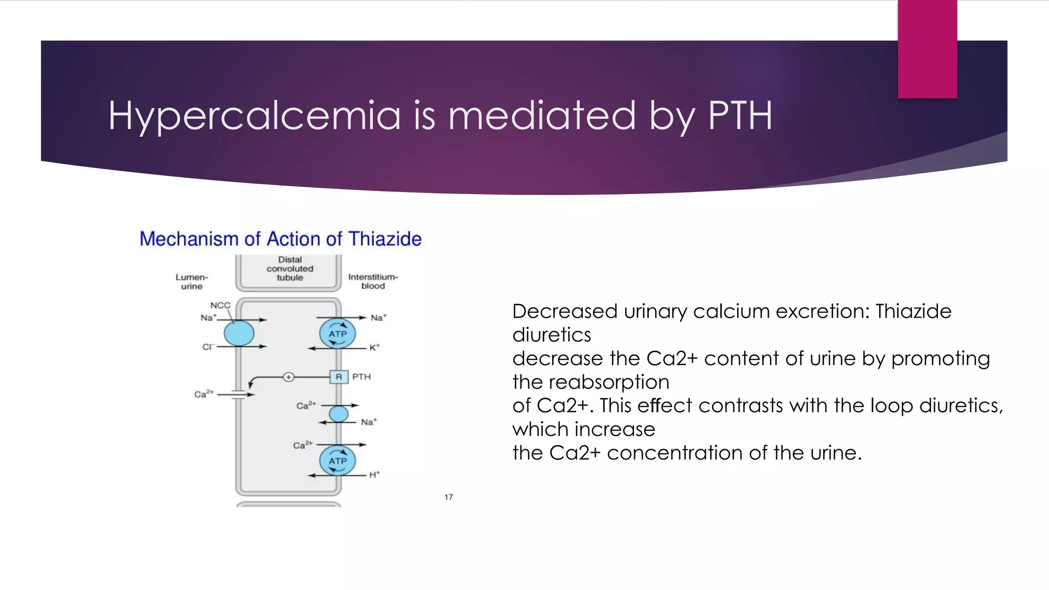 Hypercalcemia is mediated by PTH
Decreased urinary calcium excretion: Thiazide
diuretics
decrease the Ca2+ content of urine by promoting
the reabsorption
of Ca2+. This eﬀect contrasts with the loop diuretics,
which increase
the Ca2+ concentration of the urine.
 