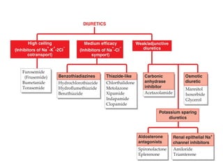 Diuretics | PDF