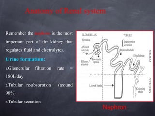 Anatomy of Renal system
Remember the nephron is the most
important part of the kidney that
regulates fluid and electrolytes.
Urine formation:
1.Glomerular filtration rate =
180L/day
2.Tubular re-absorption (around
98%)
3.Tubular secretion
Nephron
 