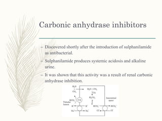 Carbonic anhydrase inhibitors
– Discovered shortly after the introduction of sulphanilamide
as antibacterial.
– Sulphanilamide produces systemic acidosis and alkaline
urine.
– It was shown that this activity was a result of renal carbonic
anhydrase inhibition.
 