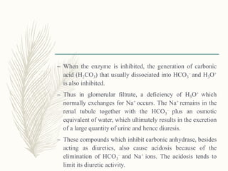 – When the enzyme is inhibited, the generation of carbonic
acid (H2CO3) that usually dissociated into HCO3
– and H3O+
is also inhibited.
– Thus in glomerular filtrate, a deficiency of H3O+ which
normally exchanges for Na+ occurs. The Na+ remains in the
renal tubule together with the HCO3
– plus an osmotic
equivalent of water, which ultimately results in the excretion
of a large quantity of urine and hence diuresis.
– These compounds which inhibit carbonic anhydrase, besides
acting as diuretics, also cause acidosis because of the
elimination of HCO3
– and Na+ ions. The acidosis tends to
limit its diuretic activity.
 