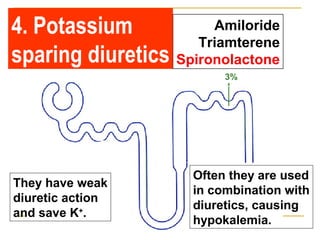 3%
Amiloride
Triamterene
Spironolactone
4. Potassium
sparing diuretics
They have weak
diuretic action
and save K+
.
Often they are used
in combination with
diuretics, causing
hypokalemia.
 