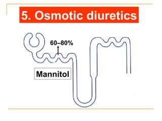 Mannitol
60–80%
5. Osmotic diuretics
 