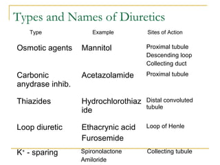Types and Names of Diuretics
Osmotic agents Mannitol Proximal tubule
Descending loop
Collecting duct
Carbonic
anydrase inhib.
Acetazolamide Proximal tubule
Thiazides Hydrochlorothiaz
ide
Distal convoluted
tubule
Loop diuretic Ethacrynic acid
Furosemide
Loop of Henle
Type Example Sites of Action
K+
- sparing Spironolactone
Amiloride
Collecting tubule
 