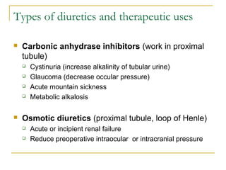 Types of diuretics and therapeutic uses
 Carbonic anhydrase inhibitors (work in proximal
tubule)
 Cystinuria (increase alkalinity of tubular urine)
 Glaucoma (decrease occular pressure)
 Acute mountain sickness
 Metabolic alkalosis
 Osmotic diuretics (proximal tubule, loop of Henle)
 Acute or incipient renal failure
 Reduce preoperative intraocular or intracranial pressure
 